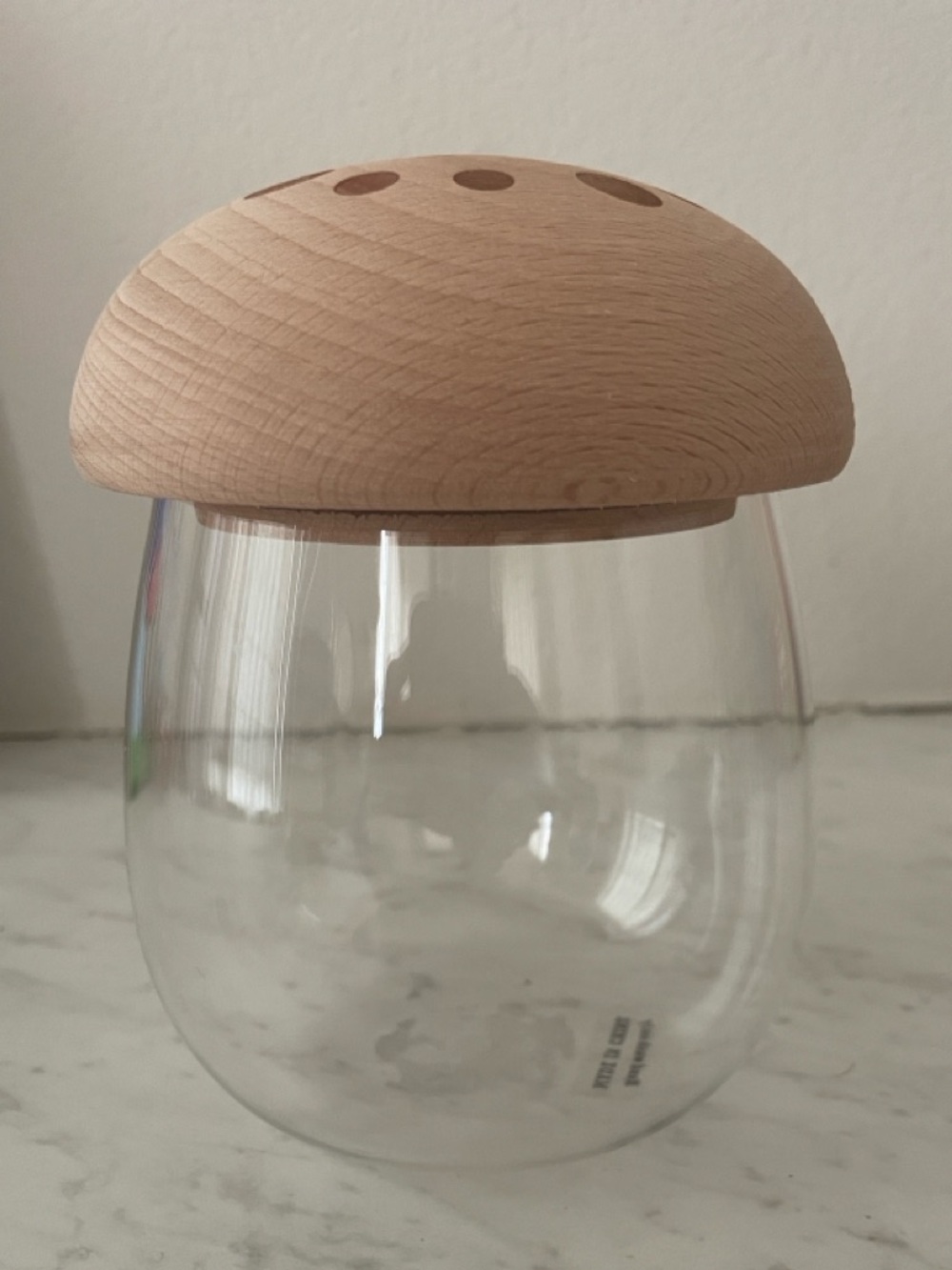 EARTHBOUND Glass Jar with Natural Wood Mushroom Lid